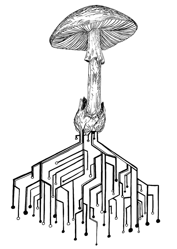 Mushroom Art by Anna McHugh logo